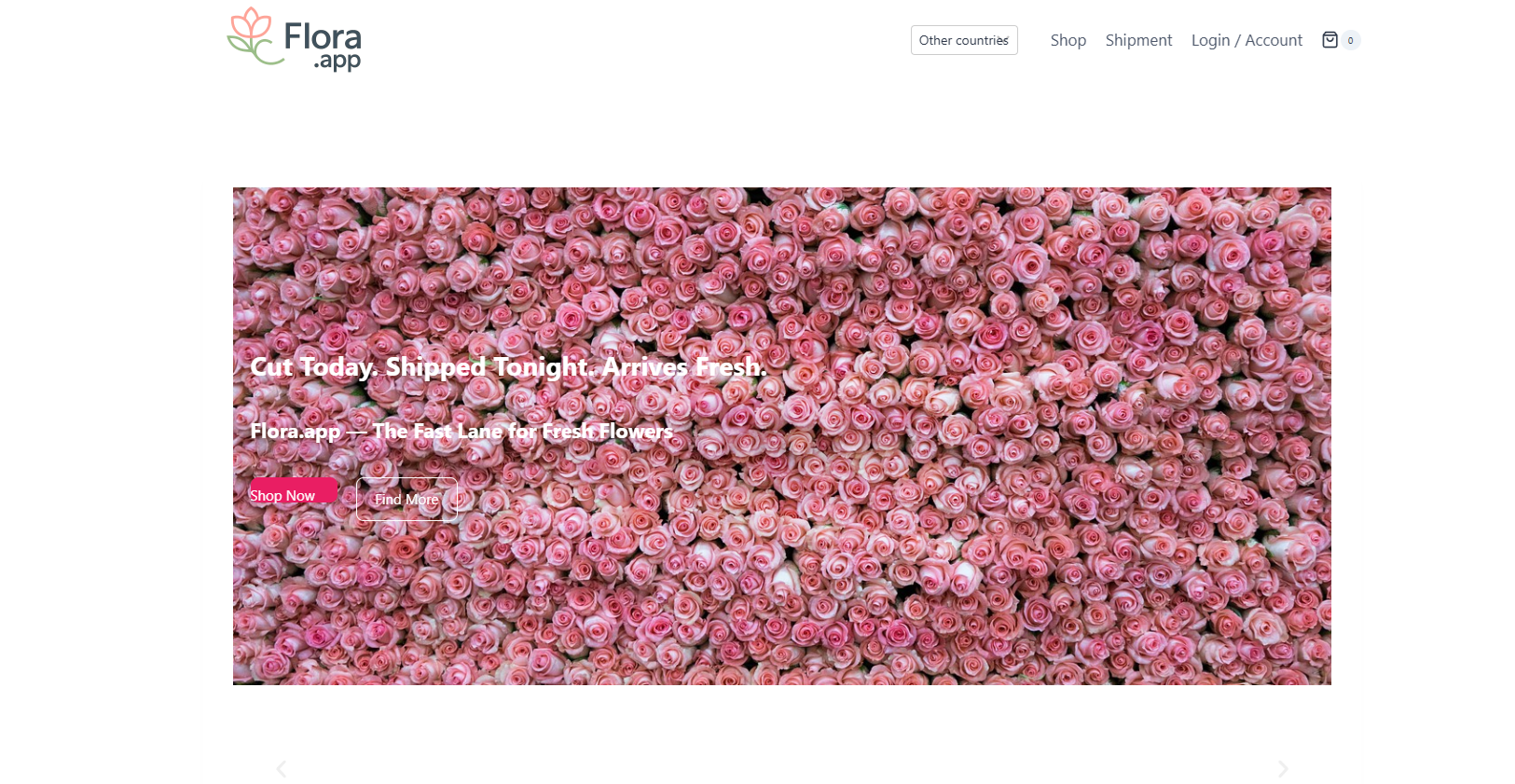 FLORAのスクリーンショット